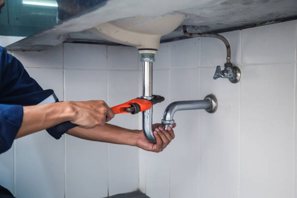 Best Commercial Plumbing Services  in Chaska, MN